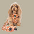 Pablo & Co. RETRO DAZIE Dog Poop Bag Holder